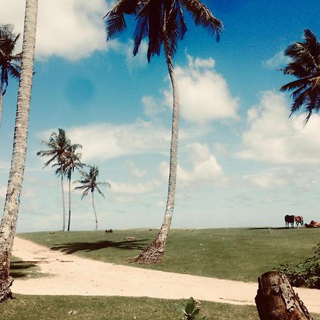 Dorian Guest House And Restaurant Weligama Exteriör bild