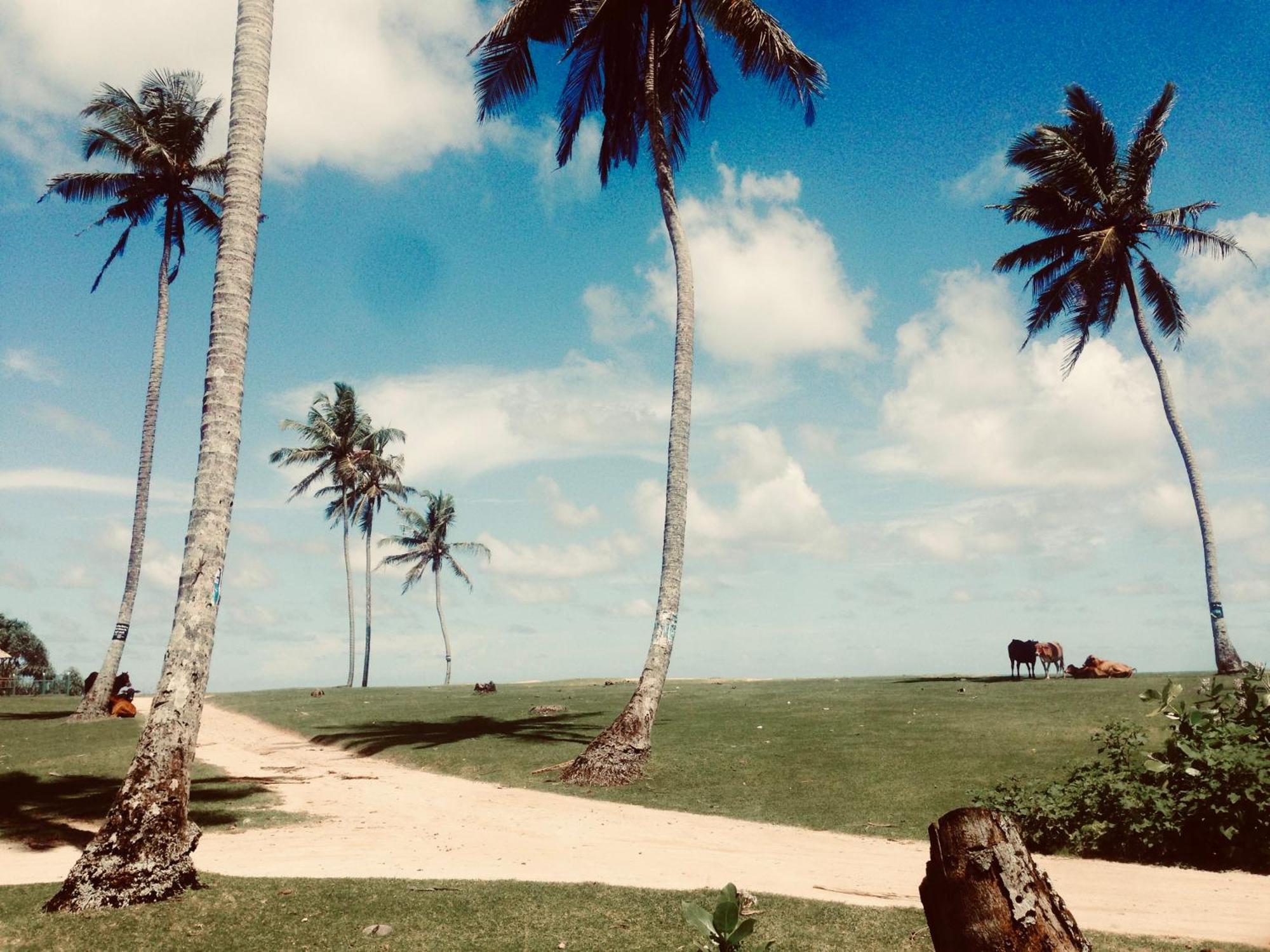 Dorian Guest House And Restaurant Weligama Exteriör bild